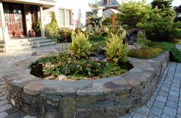 Small pool with aquatic plants