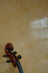 Venetian plaster music room 2