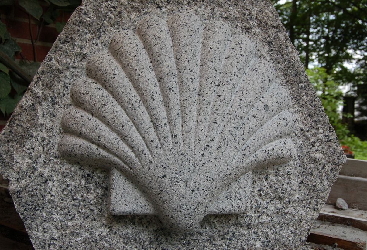 Hand carved granite sea shell