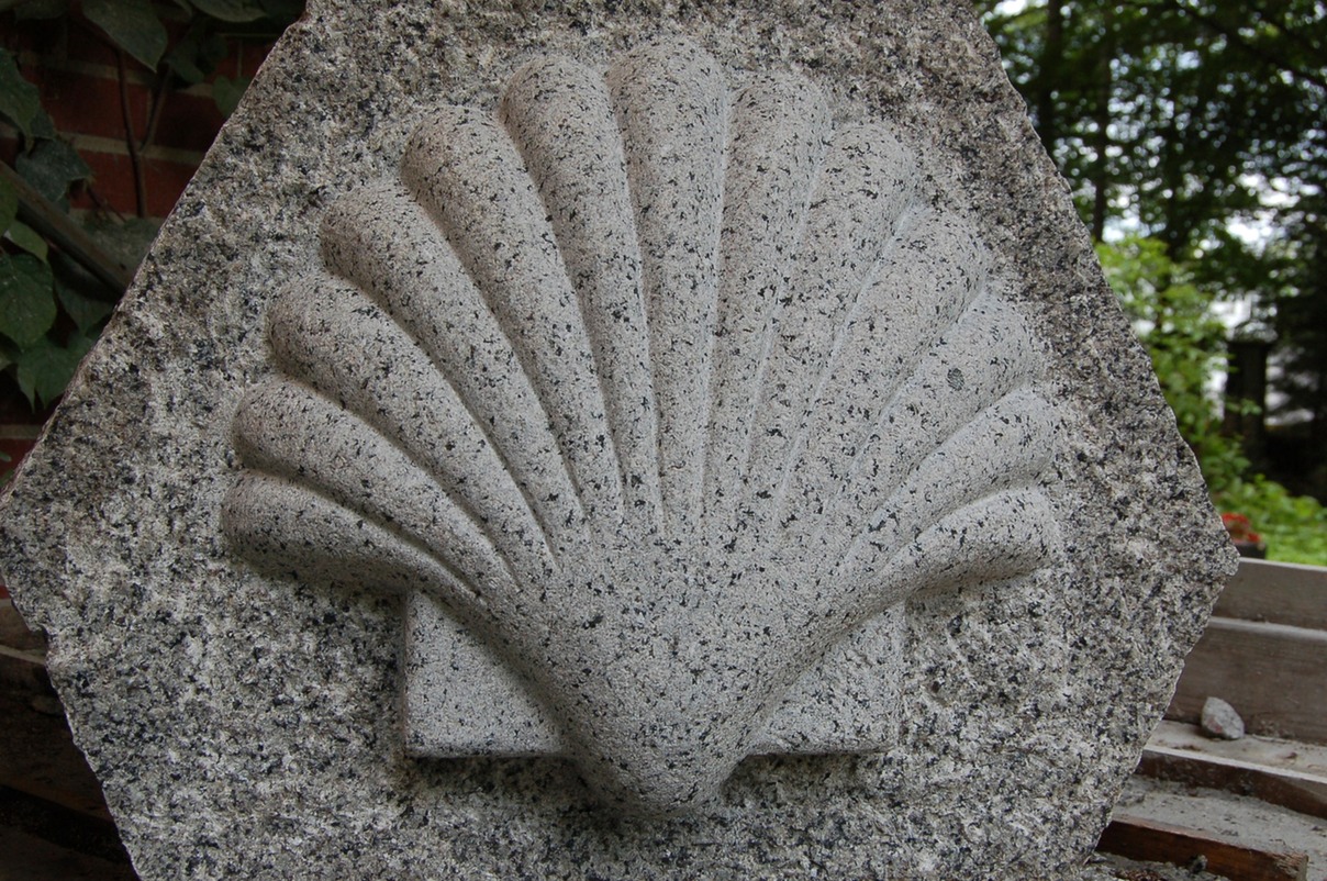 Hand carved granite shell