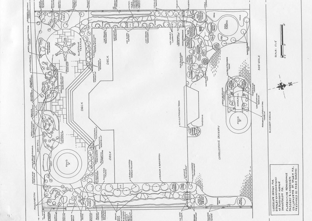 stanley Landscape design 1