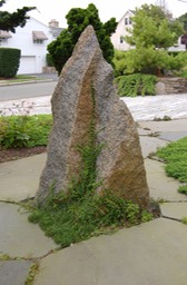 Stone accent in path